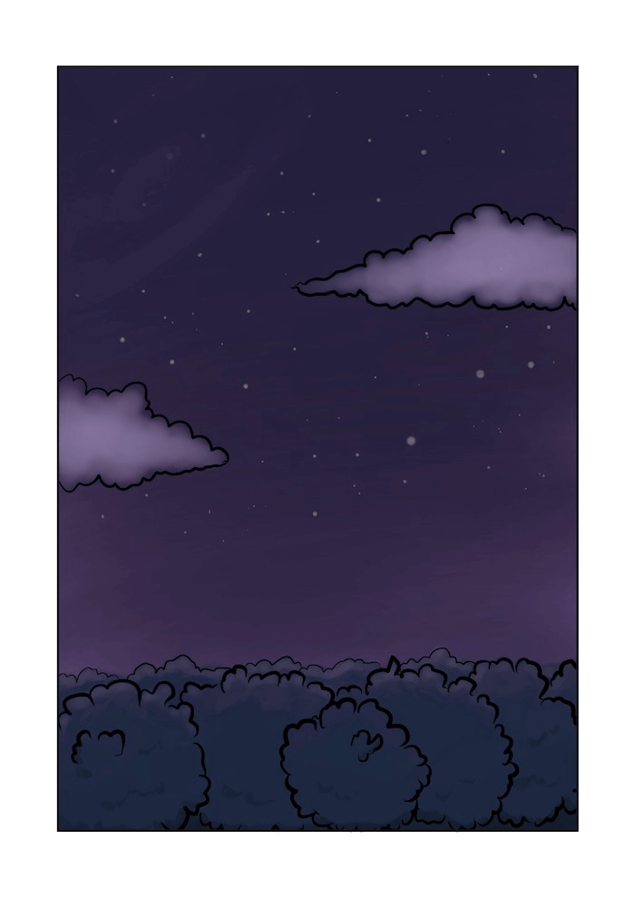 a treeline under a night sky.